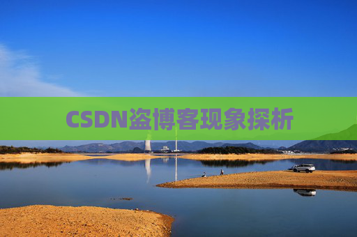 CSDN盗博客现象探析 CSDN盗博客现象探析